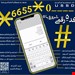 کد دستوری ۵رقمی یو اس اس دی شروع با۰مجهز به درگاه پرداخت