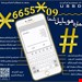#کد۱۱رقمی بی واسطه ویژه شماره موبایل شما☆۶۶۵۵☆